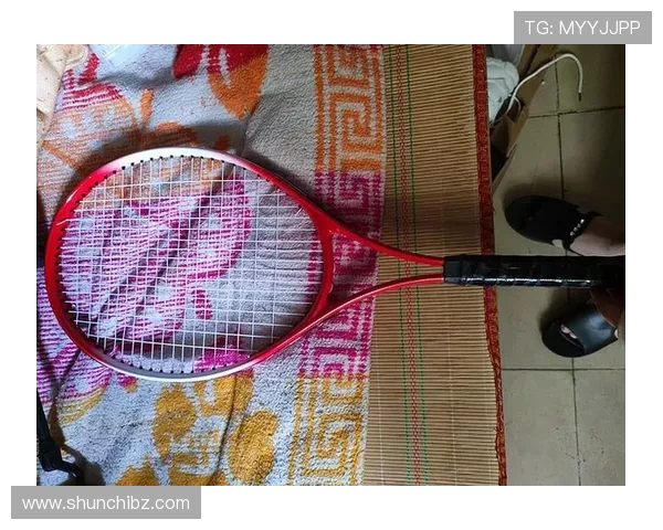 刘娜独家分享网球心得与技巧助你提升球技的秘密武器