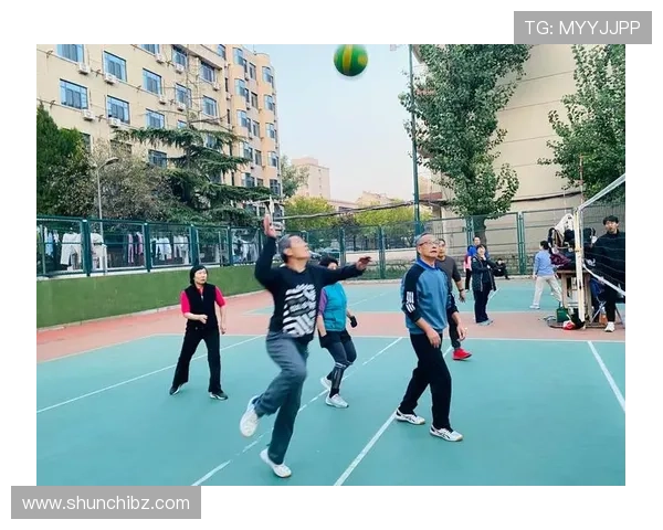 聚焦排球：武汉排球队如何通过速度提升竞技水平与团队协作