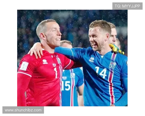 冰岛足球明星的崛起与成就揭秘及其对国家足球的影响