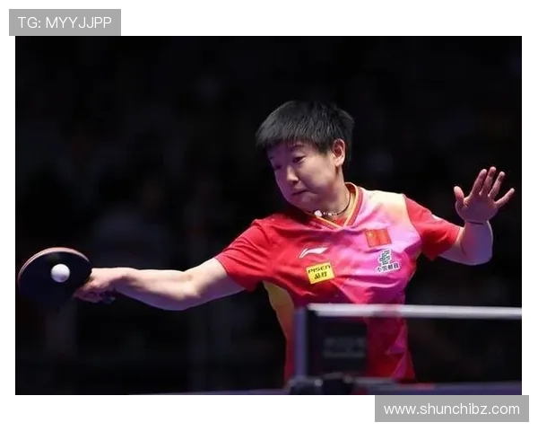 南京排球队大满贯积分榜领先61分展现强劲实力