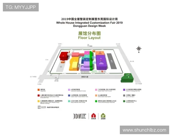 广州排球队的华丽转身与未来展望全景解析